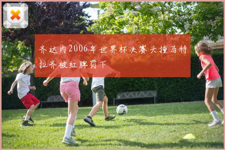 齐达内2006年世界杯决赛头撞马特拉齐被红牌罚下