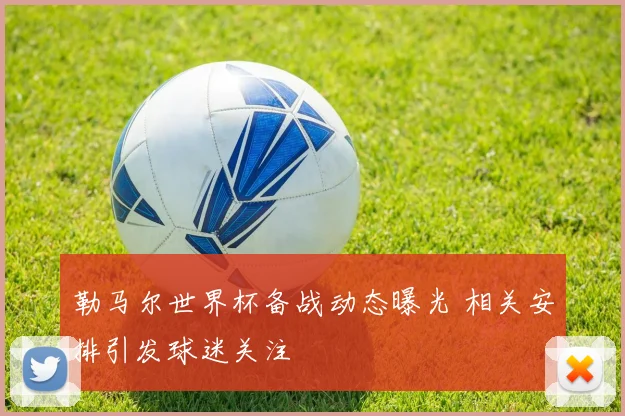 勒马尔世界杯备战动态曝光 相关安排引发球迷关注