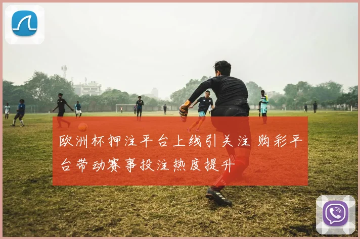 欧洲杯押注平台上线引关注 购彩平台带动赛事投注热度提升