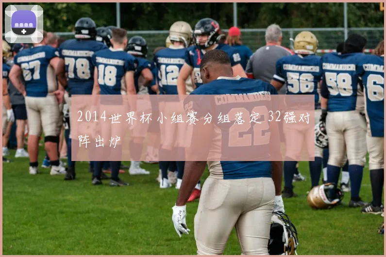 2014世界杯小组赛分组落定 32强对阵出炉