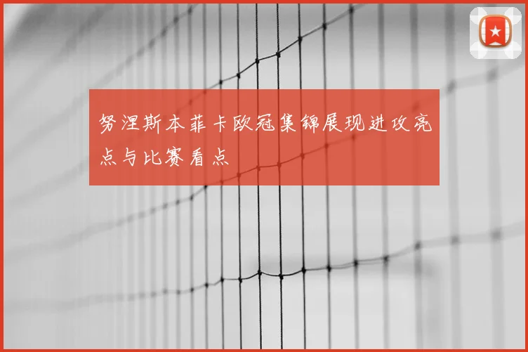 努涅斯本菲卡欧冠集锦展现进攻亮点与比赛看点